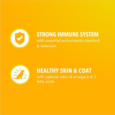 Image showing 6 th Iams ProActive Health Small Breed Puppy Chicken and Whole Grain Recipe Dry Dog Food, 5 lb. Bag