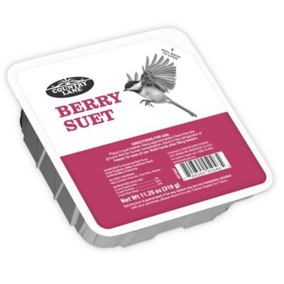 Country Lane Berry Suet Cakes, 11.25 oz., 12 ct.