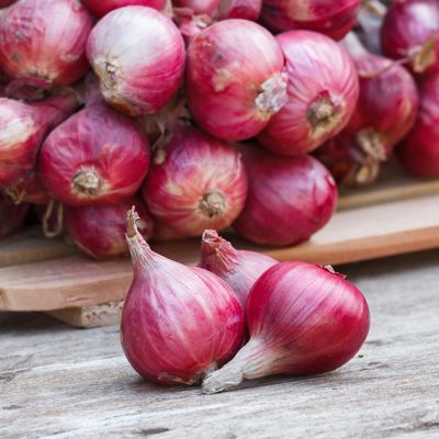 Image showing  Fresh Crop Shallots Medley, Set of 25 Bulbs