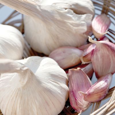 Image showing  Garlic Softneck Asiatic Spring Violet, Set of 3 Bulbs