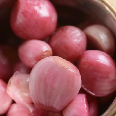 Image showing  Dutch Shallots Red , Set of 25 Bulbs