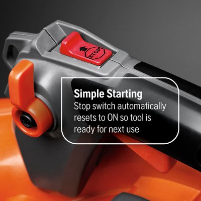 Image showing  Handheld Blower, 525BX