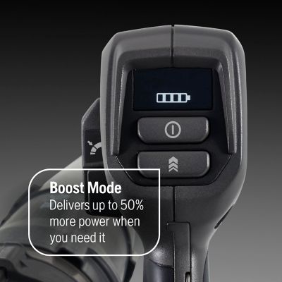 Image showing  550lbtx