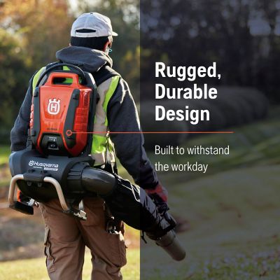 Image showing  550lbtx