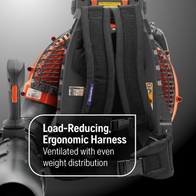 Image showing  Backpack Blower, 580BTS