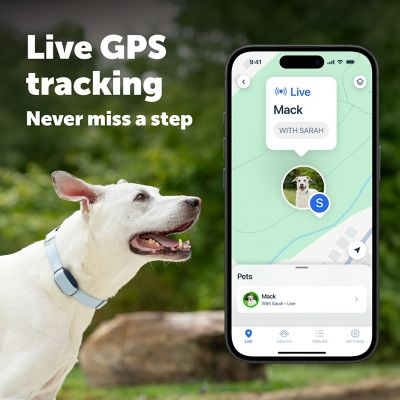 Image showing  GPS Dog Tracker, Real-Time Tracking, Escape Alerts and Notifications, Activity Monitoring, Subscription Required
