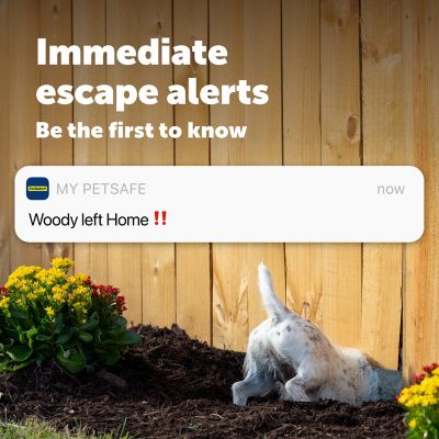 Image showing  GPS Dog Tracker, Real-Time Tracking, Escape Alerts and Notifications, Activity Monitoring, Subscription Required