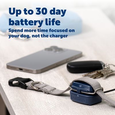 Image showing  GPS Dog Tracker, Real-Time Tracking, Escape Alerts and Notifications, Activity Monitoring, Subscription Required