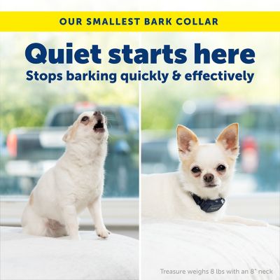 Image showing  NanoBark 2.0 Bark Collar for Small Dogs, Adjustable 4-15 in. Neck,Smart Bark Detection, Auto-Adjusting Static Correction