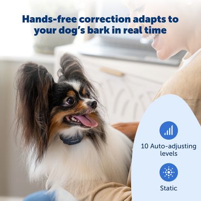 Image showing  NanoBark 2.0 Bark Collar for Small Dogs, Adjustable 4-15 in. Neck,Smart Bark Detection, Auto-Adjusting Static Correction