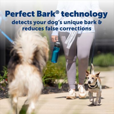 Image showing  NanoBark 2.0 Bark Collar for Small Dogs, Adjustable 4-15 in. Neck,Smart Bark Detection, Auto-Adjusting Static Correction