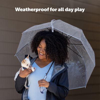 Image showing 6 th PetSafe NanoBark 2.0 Bark Collar for Small Dogs, Adjustable 4-15 in. Neck,Smart Bark Detection, Auto-Adjusting Static Correction