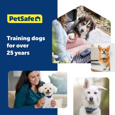 Image showing 8 th PetSafe NanoBark 2.0 Bark Collar for Small Dogs, Adjustable 4-15 in. Neck,Smart Bark Detection, Auto-Adjusting Static Correction