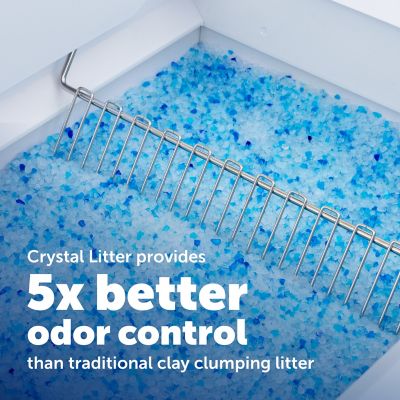 Image showing  ScoopFree Crystal Plus Automatic Self-Cleaning Cat Litter Box System, Not Enclosed, Includes 1 Crystal Litter Tray