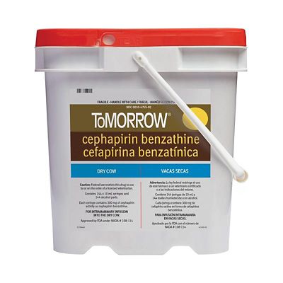 Tomorrow Mastitis Treatment for Dry Cows, 10 mL