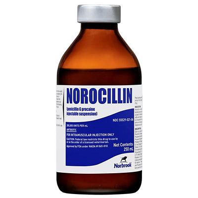 Norbrook Norocillin, Penicillin G Procaine Injectable Solution