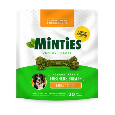 Minties Dental Bone for Dogs Large 42 oz.