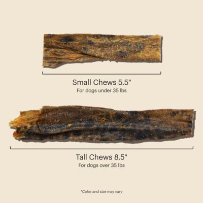 Image showing  Beams Ocean Chews, Wolffish Large 6 oz. Pouch
