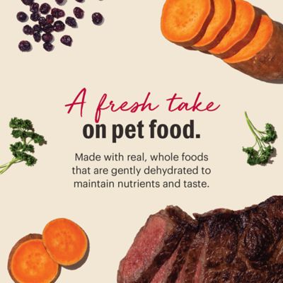 Image showing  Grain Free Beef Recipe Dehydrated Dog Food