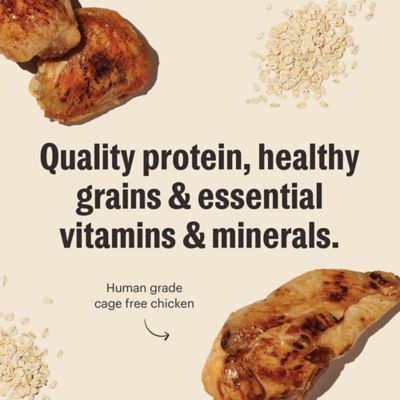 Image showing  Essential Clusters Dog Whole Grain Chicken