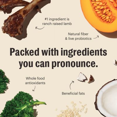 Image showing  Whole Food Clusters Dog Grain Free Lamb