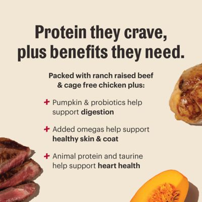 Image showing  Whole Food Clusters Dog Grain Free Protein Plus Beef
