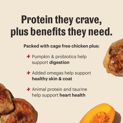 Image showing  Whole Food Clusters Dog Grain Free Protein Plus Chicken