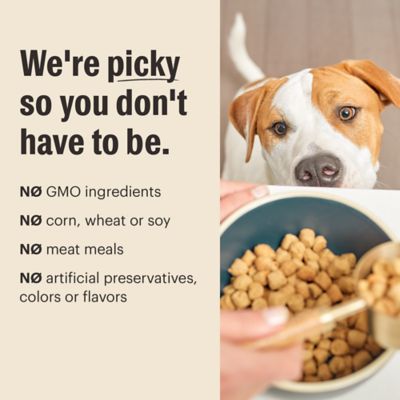 Image showing  Whole Food Clusters Dog Whole Grain Lamb