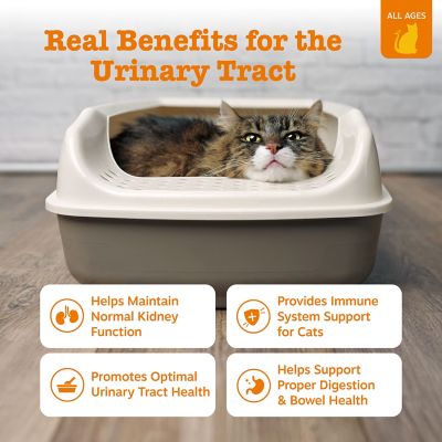 Image showing  Urinary Tract Mousse 3 oz. Tube