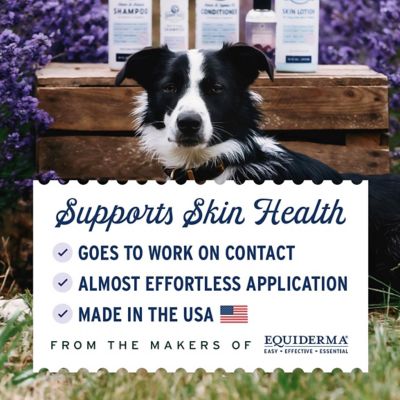 Image showing  Skin Lotion 16 oz.