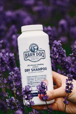 Image showing  Barn Dog Dry Shampoo 16 oz.