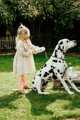 Image showing  Barn Dog Dry Shampoo 16 oz.