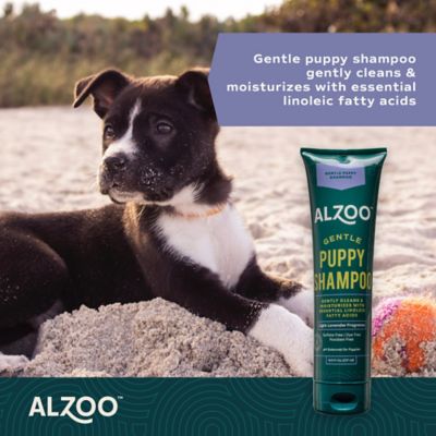 Image showing 5 th Alzoo Puppy Bundle Starter Kit