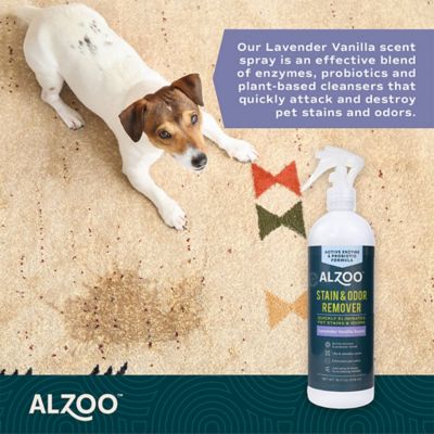 Image showing 7 th Alzoo Puppy Bundle Starter Kit