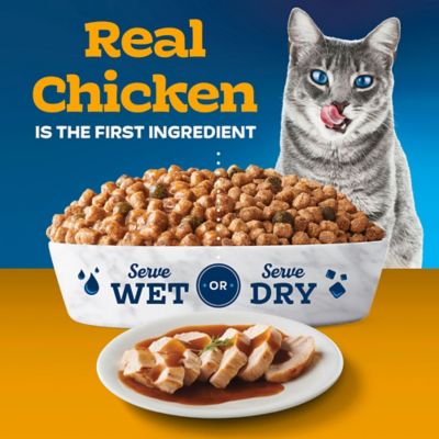 Image showing  Chicken and Gravy Adult Cat