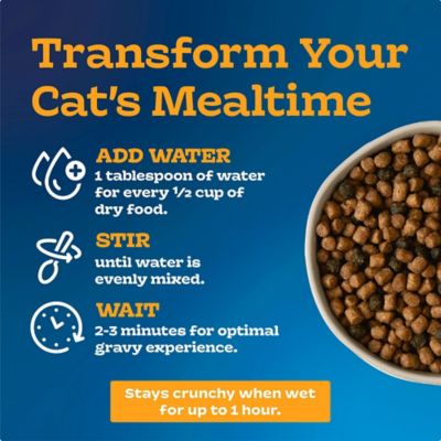 Image showing  Chicken and Gravy Adult Cat