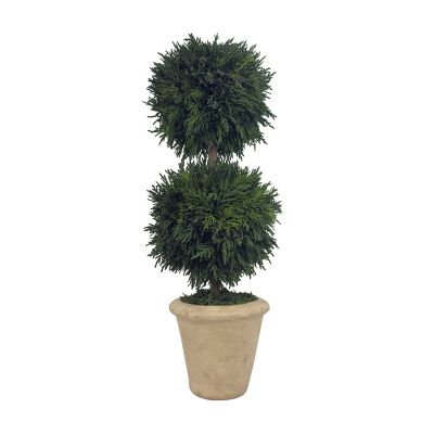 Shine Company 16 in. Preserved Cypress Greenery Topiary with Terracotta Pot