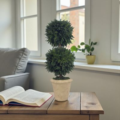 Image showing  16 in. Preserved Cypress Greenery Topiary with Terracotta Pot