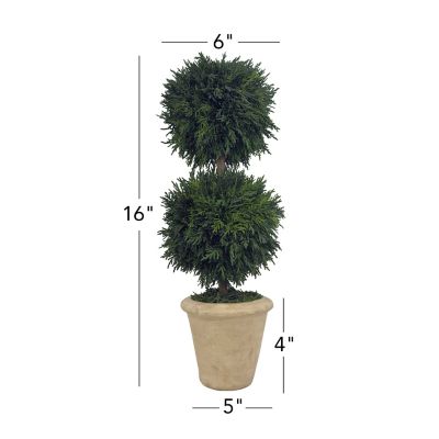 Image showing  16 in. Preserved Cypress Greenery Topiary with Terracotta Pot