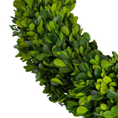 Image showing  20 in. Handcrafted Preserved Boxwood Wreath