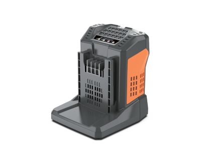 SUNSEEKER 60V 5.5A High Capacity Charger