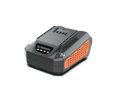 SUNSEEKER 60V Commercial 2.5A charger for single battery