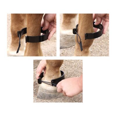 Image showing  Mini Paw-Be-Gone Ankle Bands