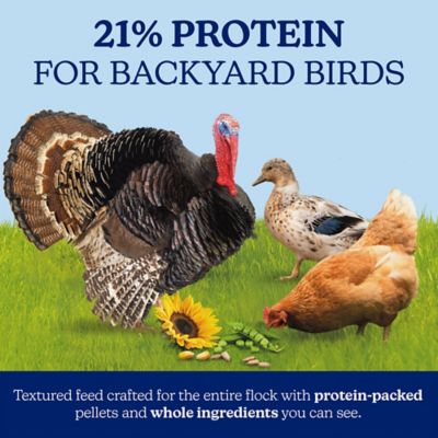 Image showing  Nutrena NatureWise Harvest Blend All Flock 21% Protein Textured Feed, 40 lb. Bag