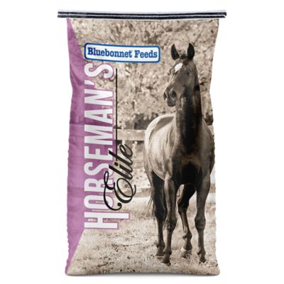 Bluebonnet Horsemens Elite Horse Cube