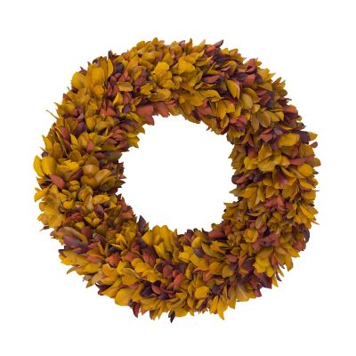 Shine Company 20 in. Fall Autumn Preserved Holly Wreath