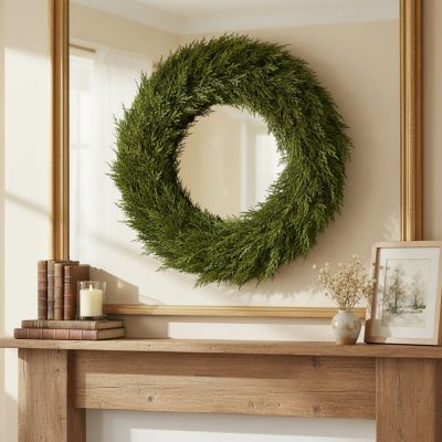 Image showing  24 in. Preserved Cypress Wreath