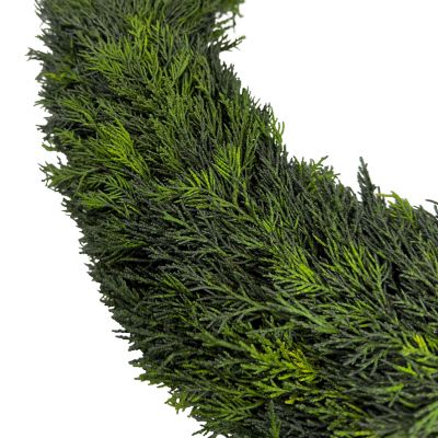 Image showing  24 in. Preserved Cypress Wreath