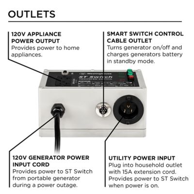 Image showing  120V 20A Portable Automatic Transfer Switch with Smart Technology