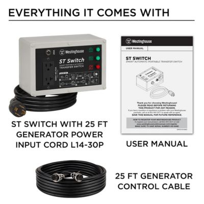 Image showing  120V 20A Portable Automatic Transfer Switch with Smart Technology